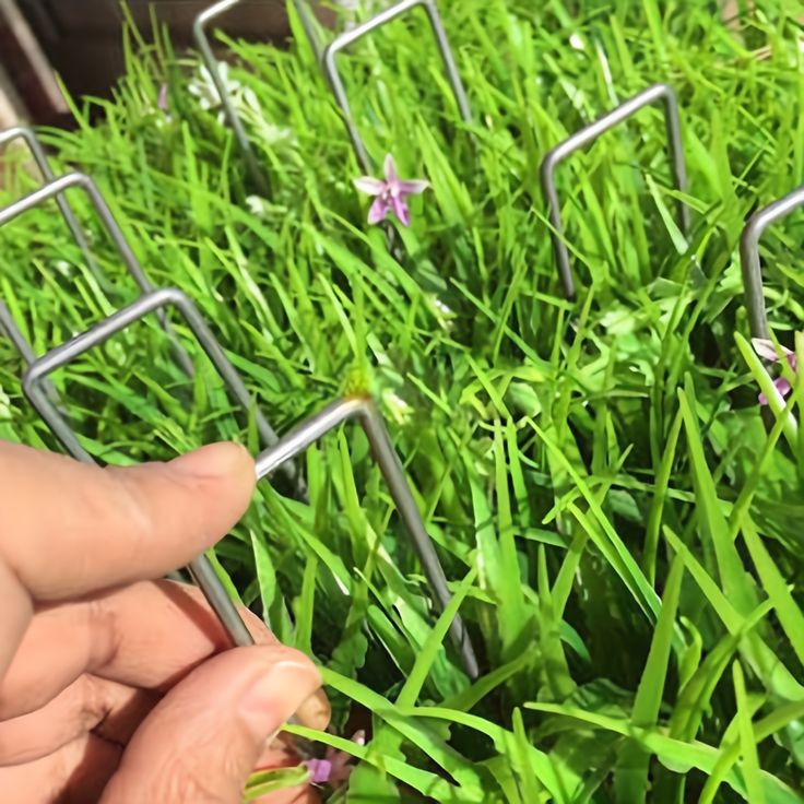 Artificial Grass Turf U Pins Galvanised Metal Pegs Staples Weed Garden Bevelled